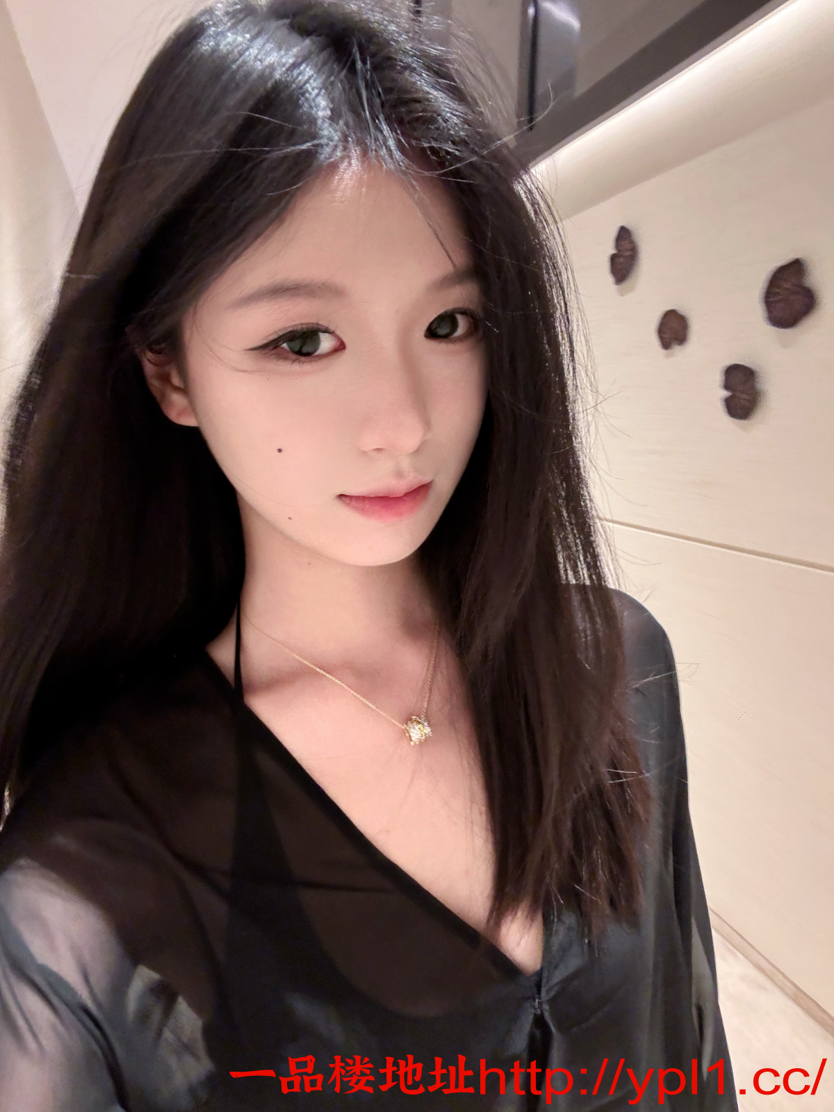 Image_1775364679316_173.png